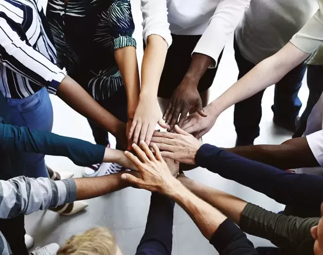 Professional Associations & Services